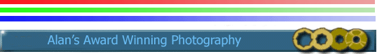photography and photographs