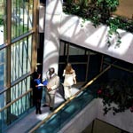 on location digital web internet viewing digital files included photography photographer Palm Springs and Los Angeles Palm Springs and Los Angeles Ca Ca convention corporate business