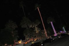 MG_0598